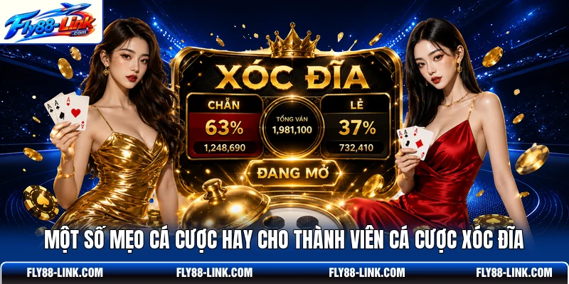 Một số mẹo cá cược hay cho thành viên cá cược Xóc Đĩa